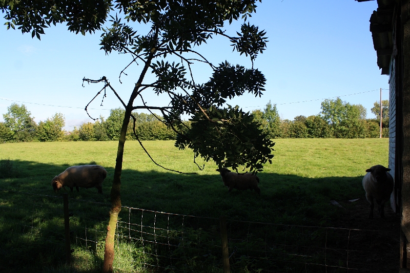 20110816 Boquet Bosquet Buildings 121.jpg